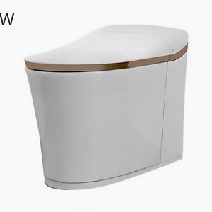 KOHLER K-77795MY-SG-0 智能座廁