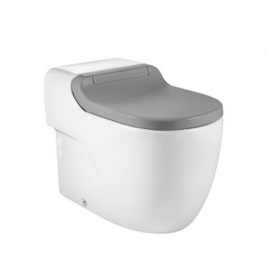 Roca In-Wash® Meridian 智能座廁 (灰色)