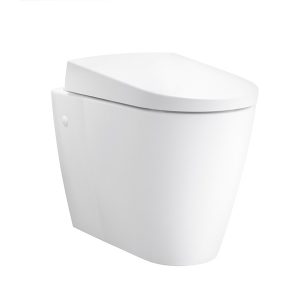 Geberit AquaClean Sela 智能座廁